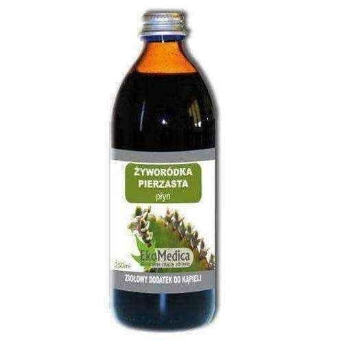 Kalanchoe daigremontiana, Feathered Carmine 250ml UK