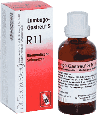 LUMBAGO-GASTREU, Berberis vulgaris, Rhododendron UK