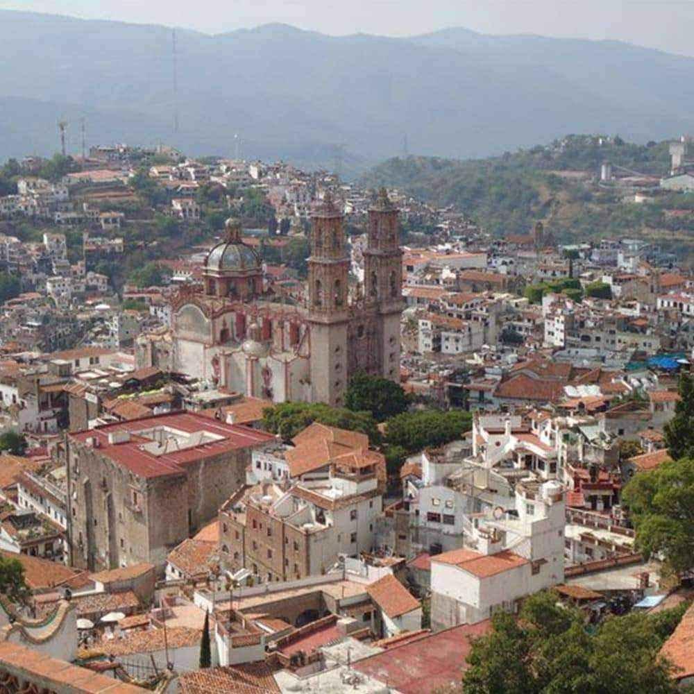 Natural clip on earrings UK