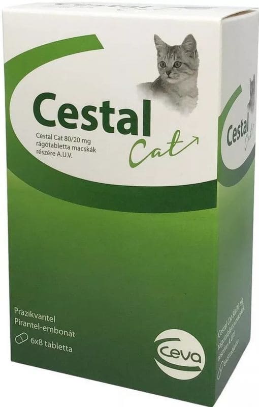 Parasitic infections cats, Cestal Cat Deworming UK