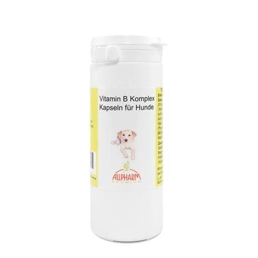 VITAMIN B COMPLEX for dogs ELIVERA UK