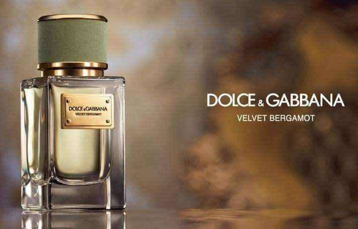 Dolce & Gabbana Velvet Bergamot Eau de Parfum 50ml Spray UK